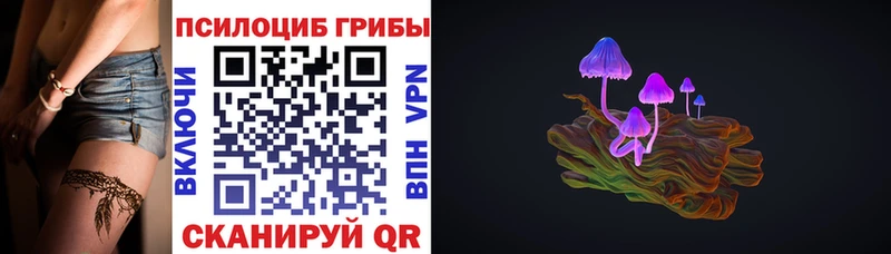Псилоцибиновые грибы Psilocybe  купить закладку  Питкяранта 